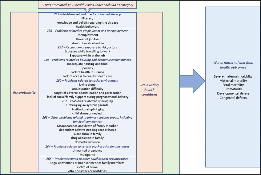Conceptual model to describe the social determinants of health pathways contributing towards disparities and worse outcomes in the MCH population during the COVID-19 pandemic