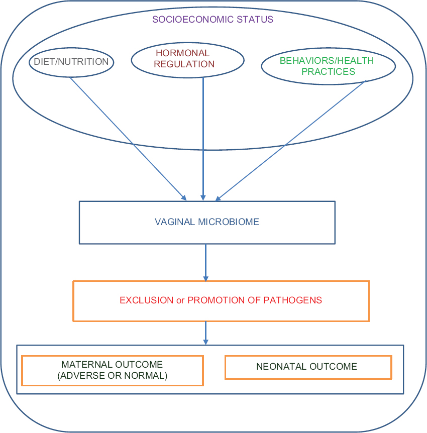 Conceptual framework