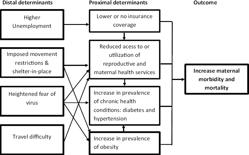A theoretical framework to explain a projected increase in maternal mortality and severe maternal morbidity in US African American women in the era of COVID-19 Pandemic