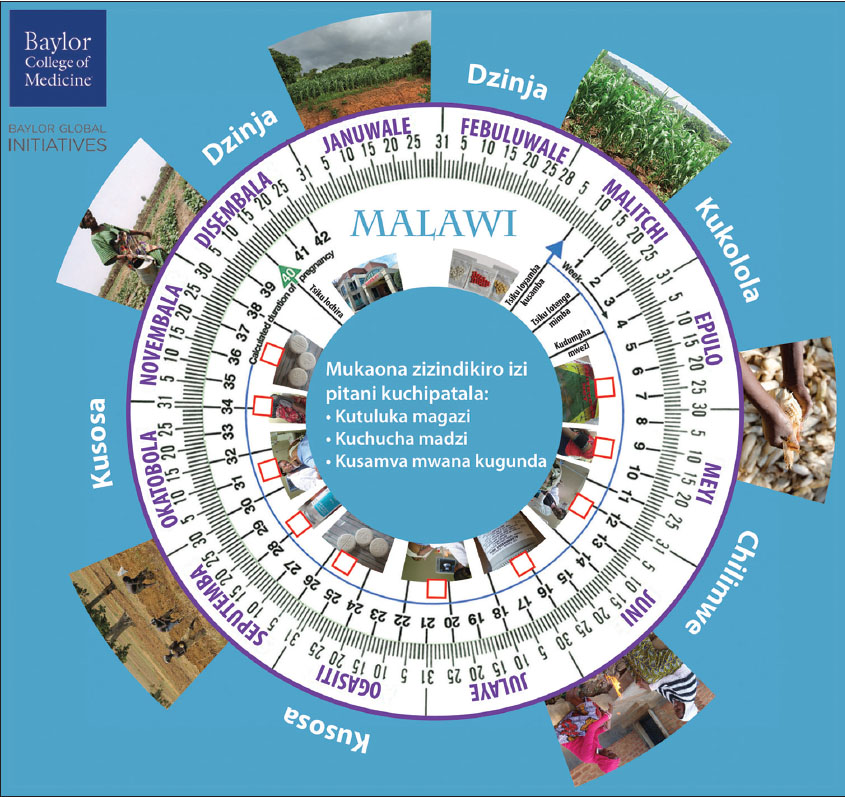 The Malawian Pregnancy Wheel
