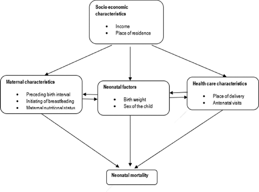 Conceptual framework for neonatal mortality Source: Authors own work